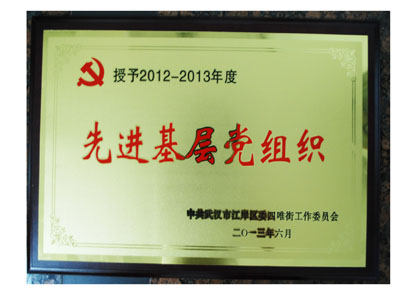 湖北東信醫藥有限公司黨支部榮獲先進基層黨組織榮譽稱號