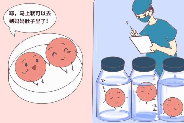 哪些胚胎可用于移植？了解下！