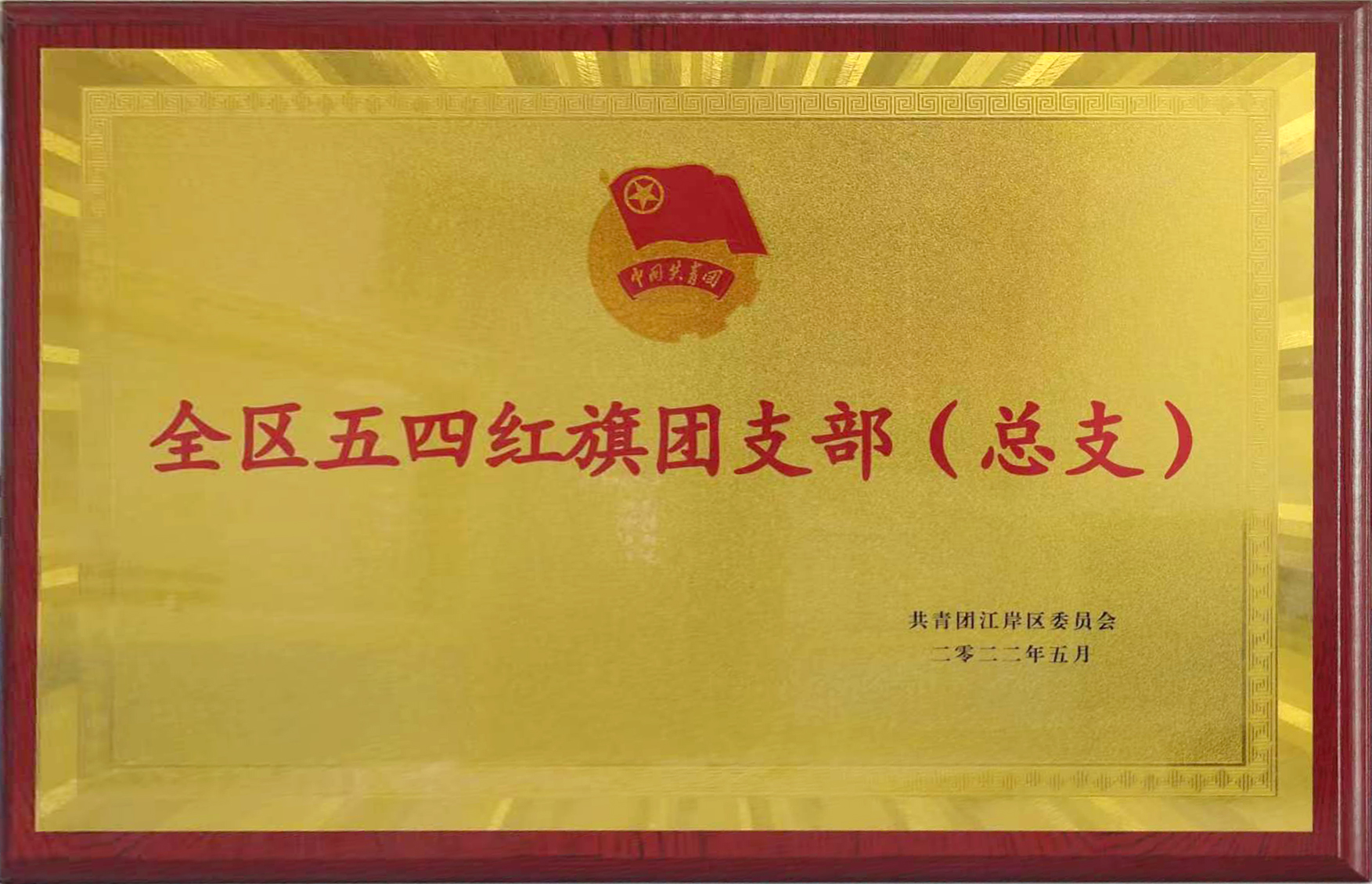 共青團成立100周年之際，東信醫(yī)藥團支部喜獲武漢市江岸區(qū)“全區(qū)五...